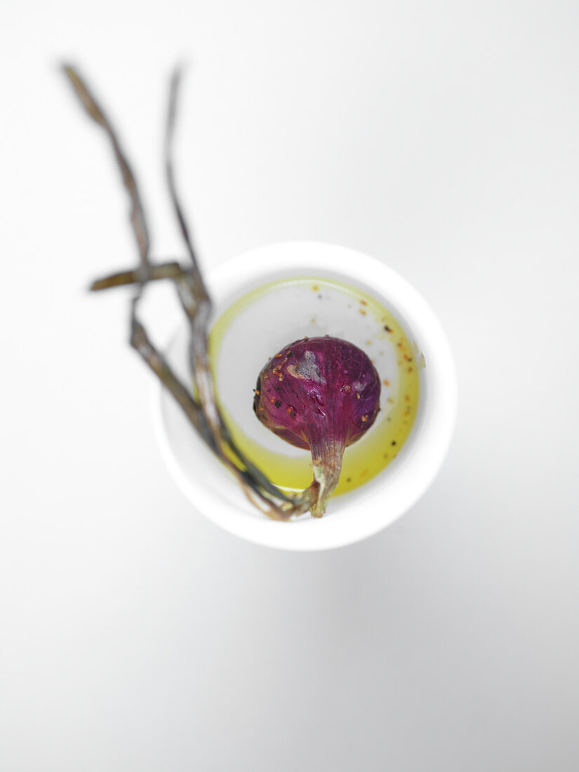Rote Schalotte in Olivenöl