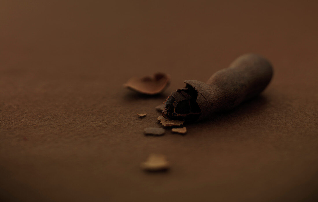 Tamarind seeds and shell