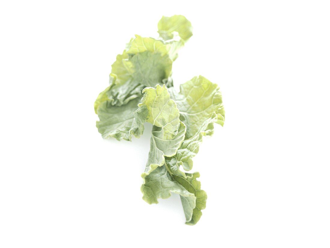 Kale cabbage leaf on a white background