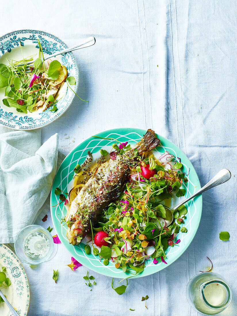 Gebratene Forelle mit Portulaksalat und Radieschen