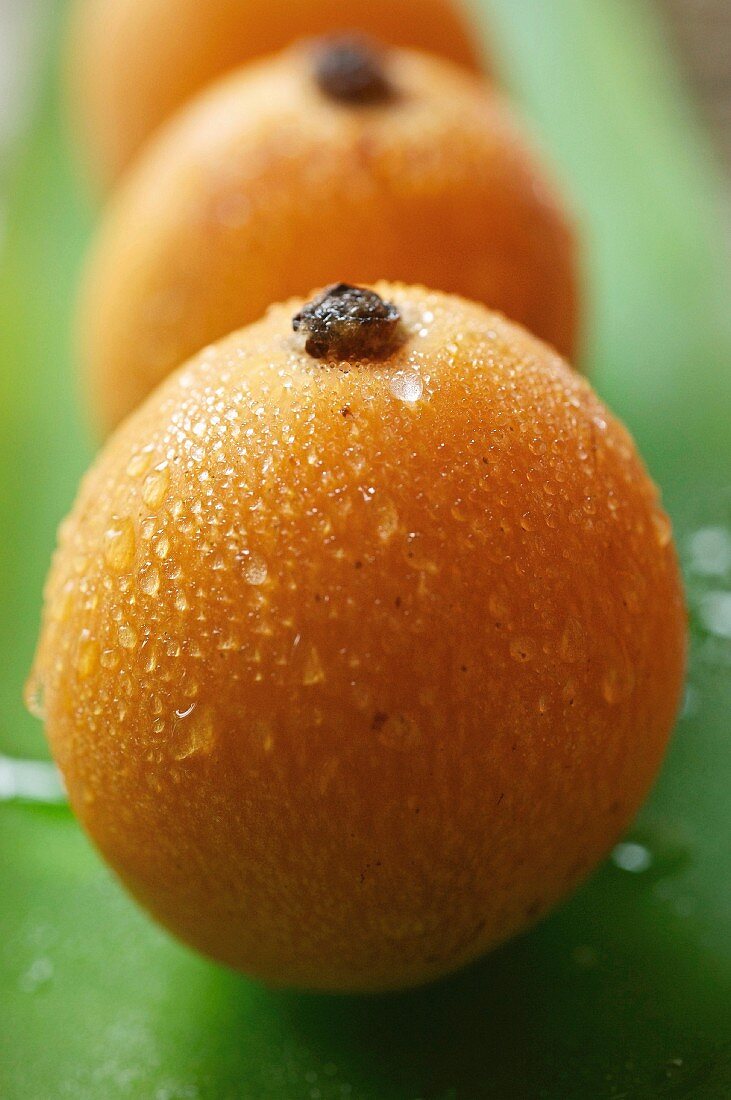 Small pomegranate