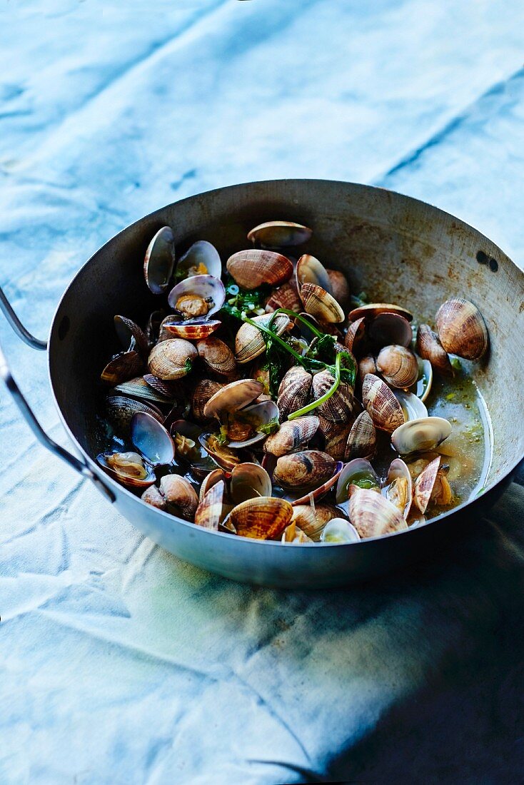 Sauteed clams with fresh herbs