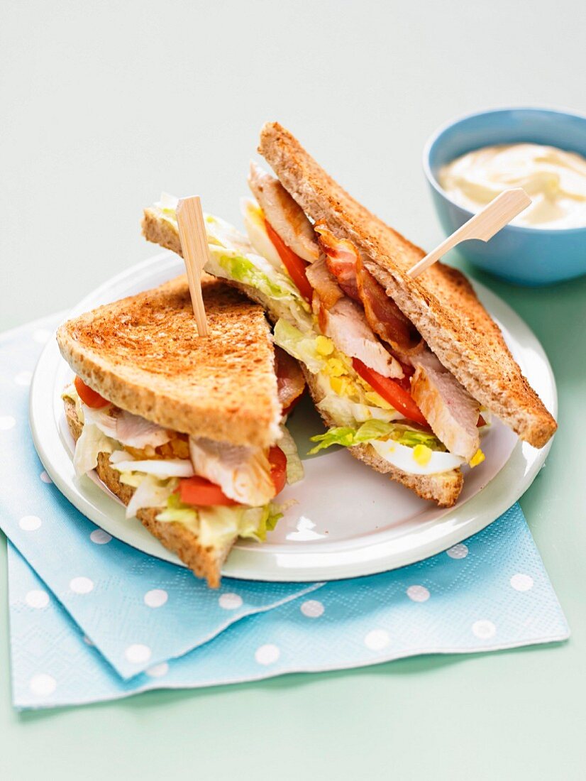 Chicken and bacon toasted club sandwhich