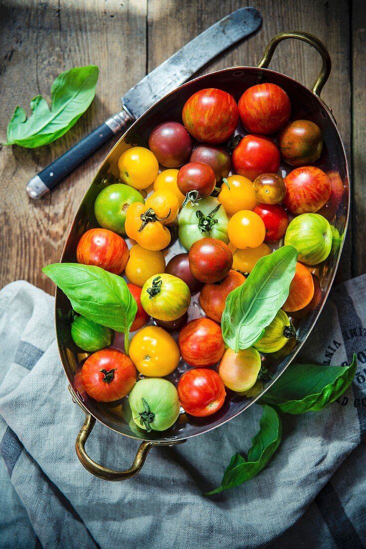 Mixed tomatoes and basil in a large tin dish