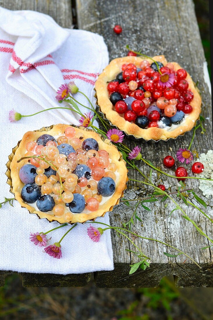 Törtchen mit Heidelbeeren und Johannisbeeren im Freien