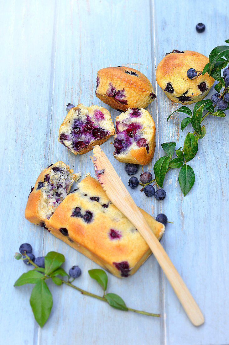 Blueberry cake and blueberry muffins