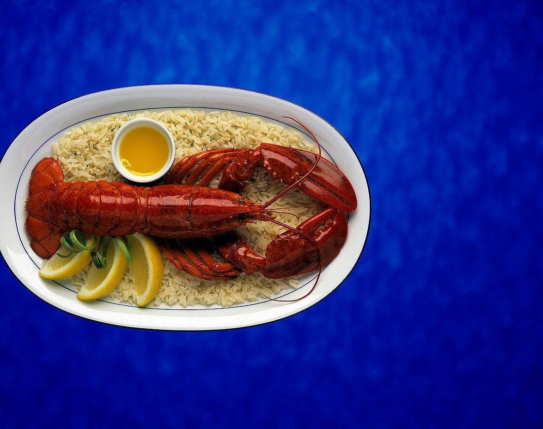 Whole Cooked Lobster served on a bed of rice
