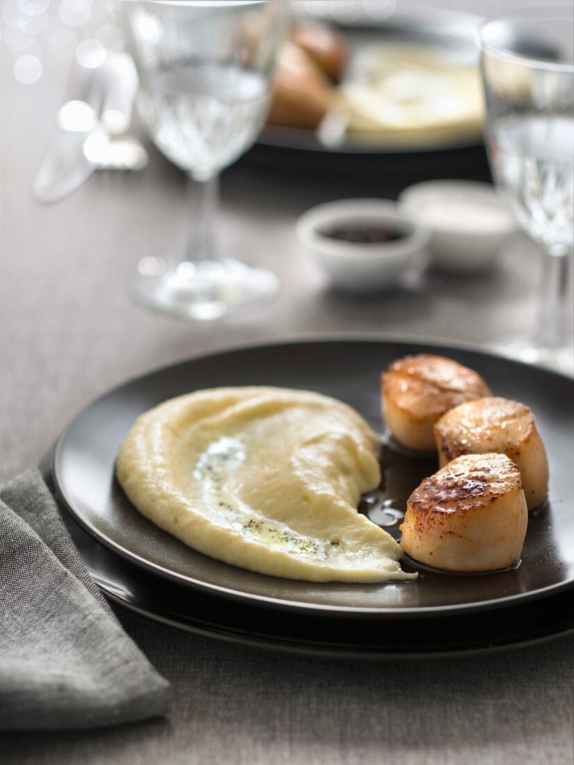 Grilled scallops and vanilla-flavored pureed parsnips