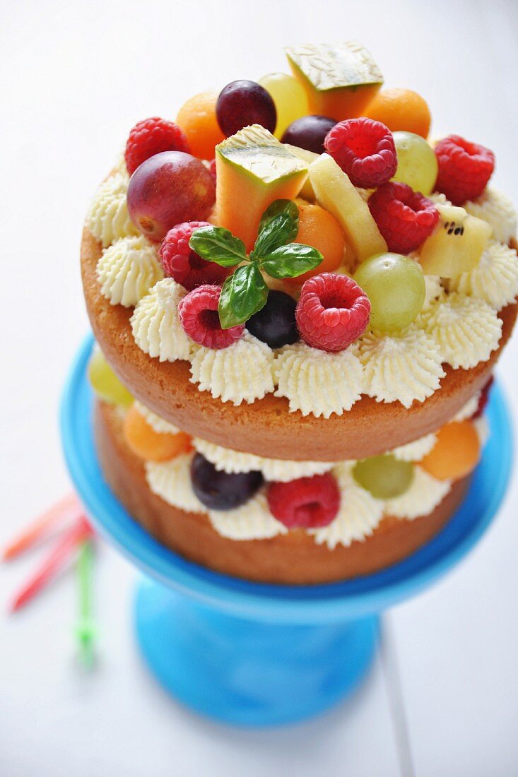 Nude Cake mit Früchten (Draufsicht)
