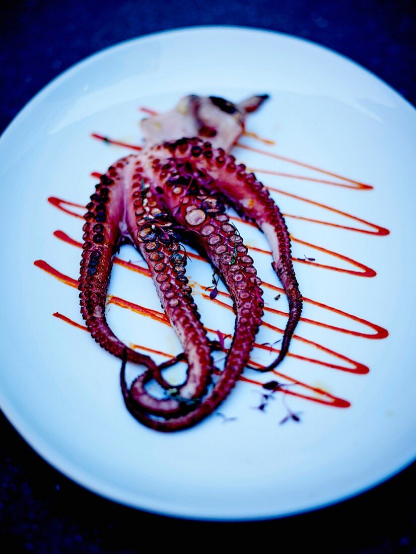Grilled octopus with fresh herbs and tomato puree