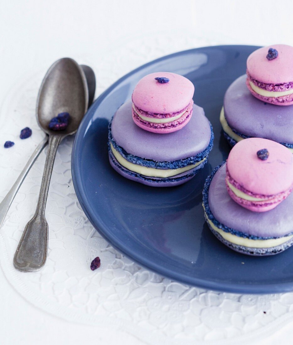 Macaron-style violet Religieuse