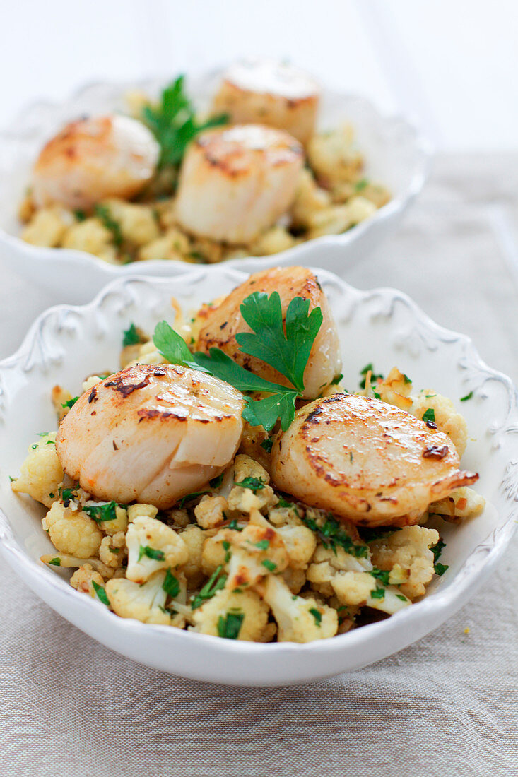 Pan-fried scallops with cauliflower and parsley fricassée