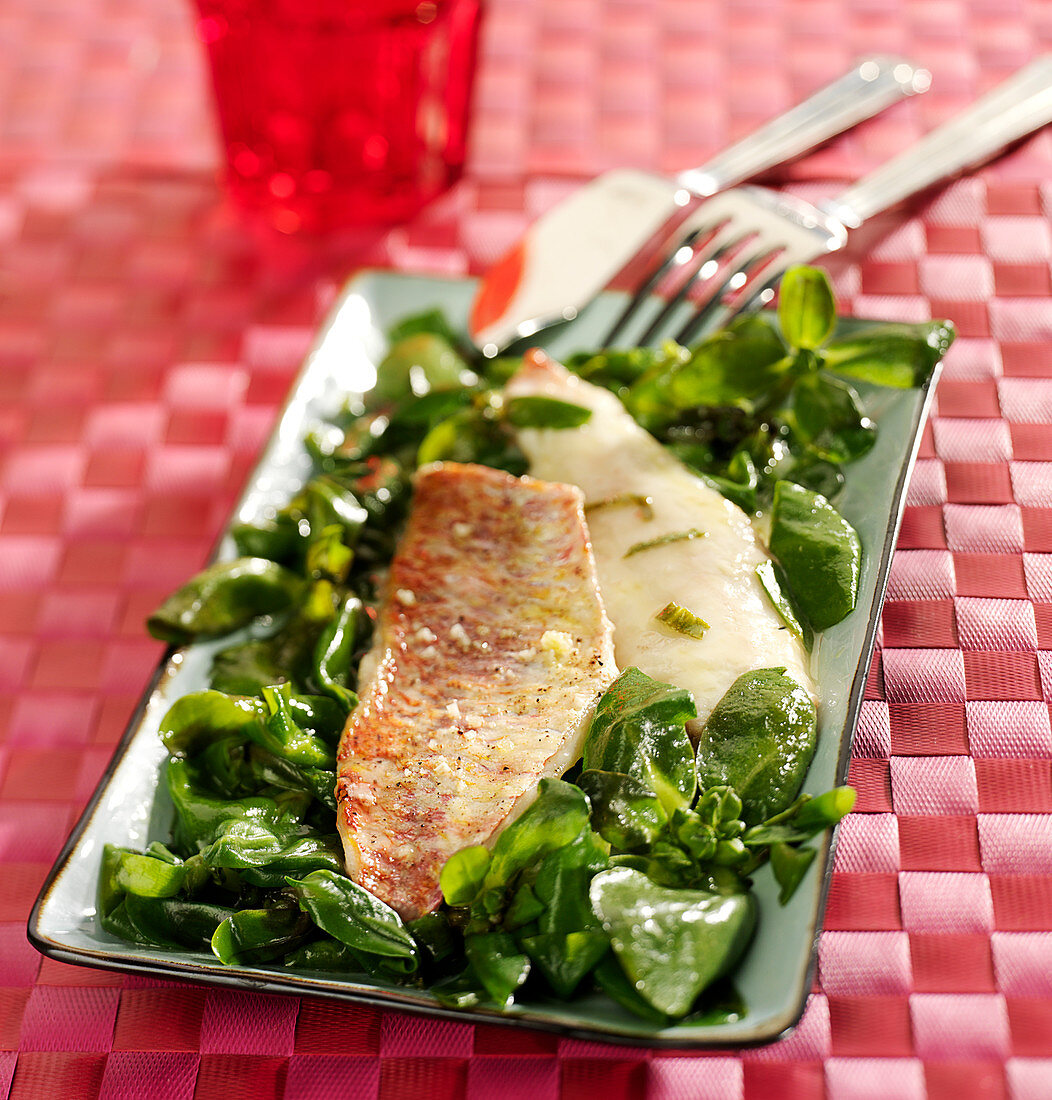 Red mullet fillets on a bed of purslane