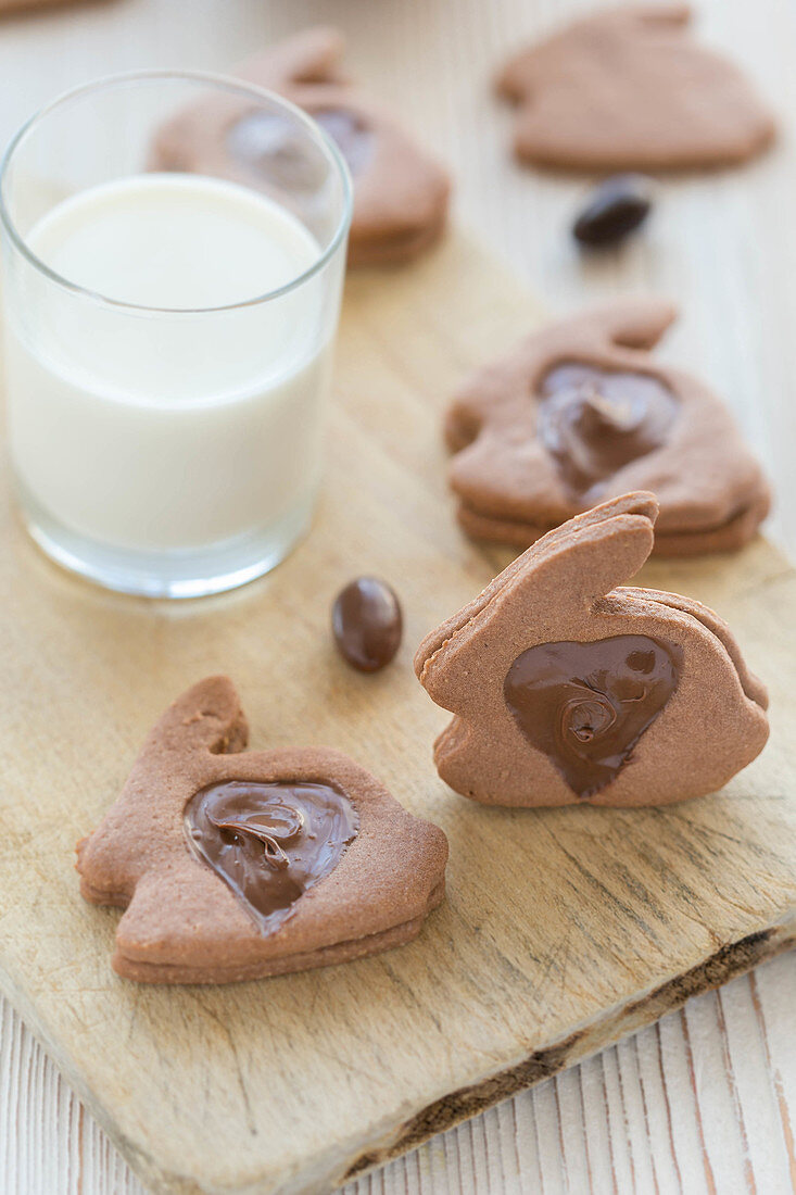 Chocolate rabbit biscuits