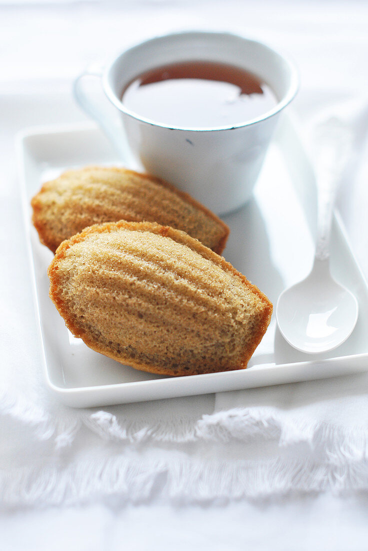 Teatime with Madeleines