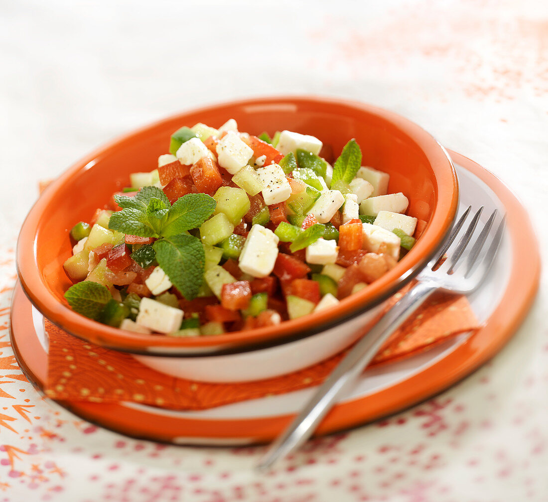 Gurken-Tomaten-Salat mit Feta