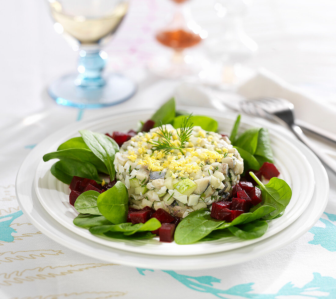 Rollmopstatar mit Apfel, Ei und Zwiebeln serviert auf Spinatsalat mit Rote-Bete