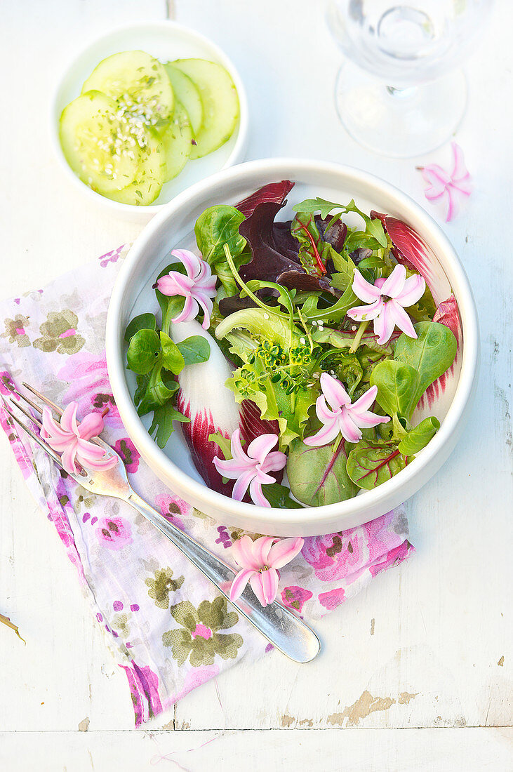 Salat mit Keimlingen und Hyazinthen