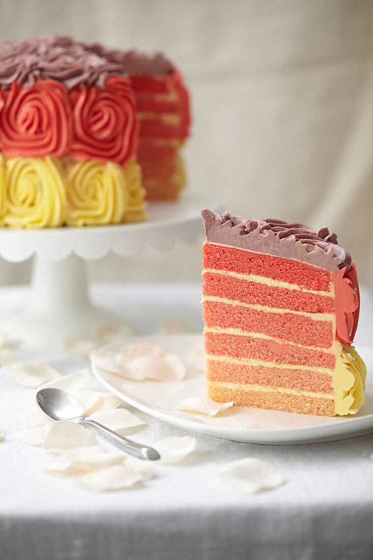 Sliced three-colored Paradise cake