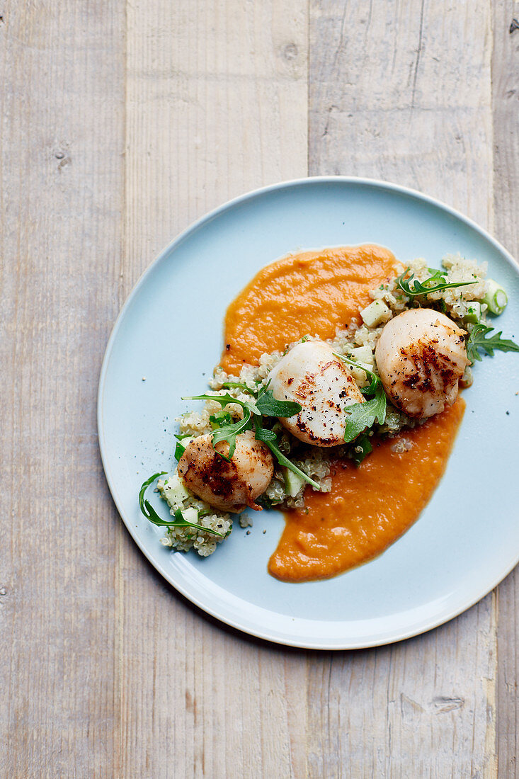 Jakobsmuscheln auf Quinoa und oranger Paprika-Coulis