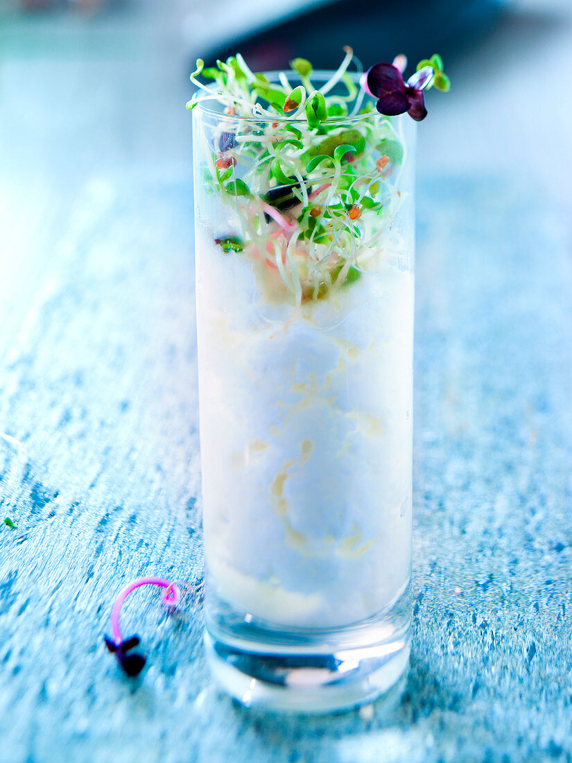 Glass of Faisselle with honey and spices,sprout salad