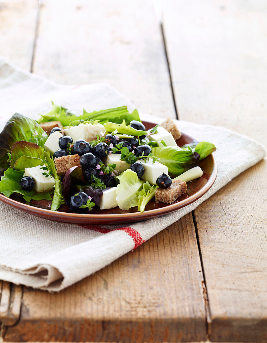 Two cheese,bread and blueberry lettuce salad