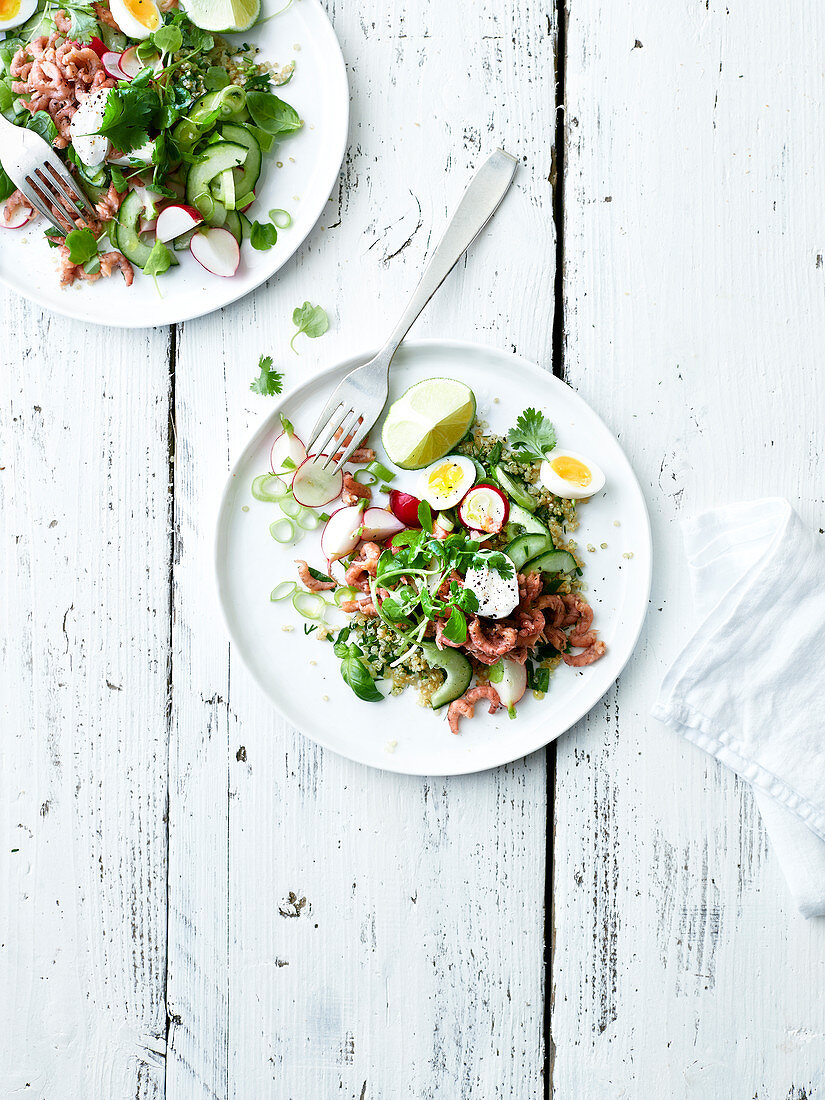 Quinoasalat mit Shrimps, Gurken, Radieschen und Wachteleiern