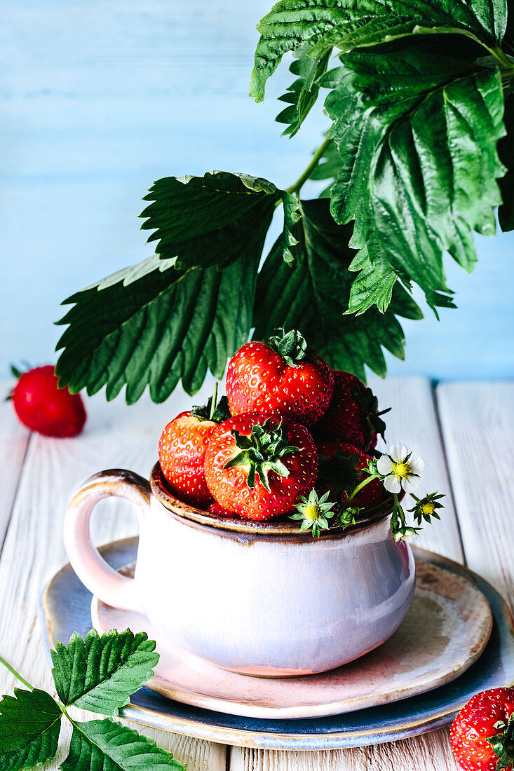 Still life of strawberries