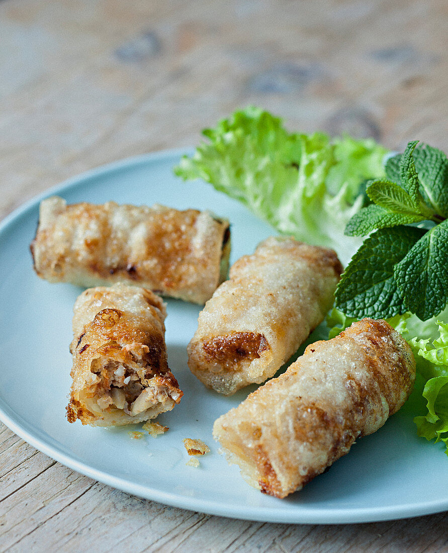 Nems (frittierte Frühlingsrollen, Vietnam) mit Hähnchen, Salatblätter und Minze