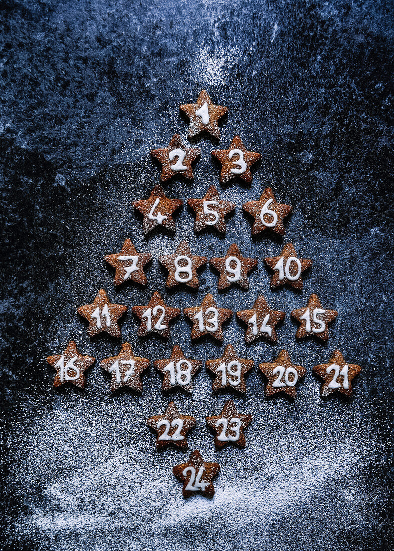Chocolate shortbread stars Advent calendar Christmas tree