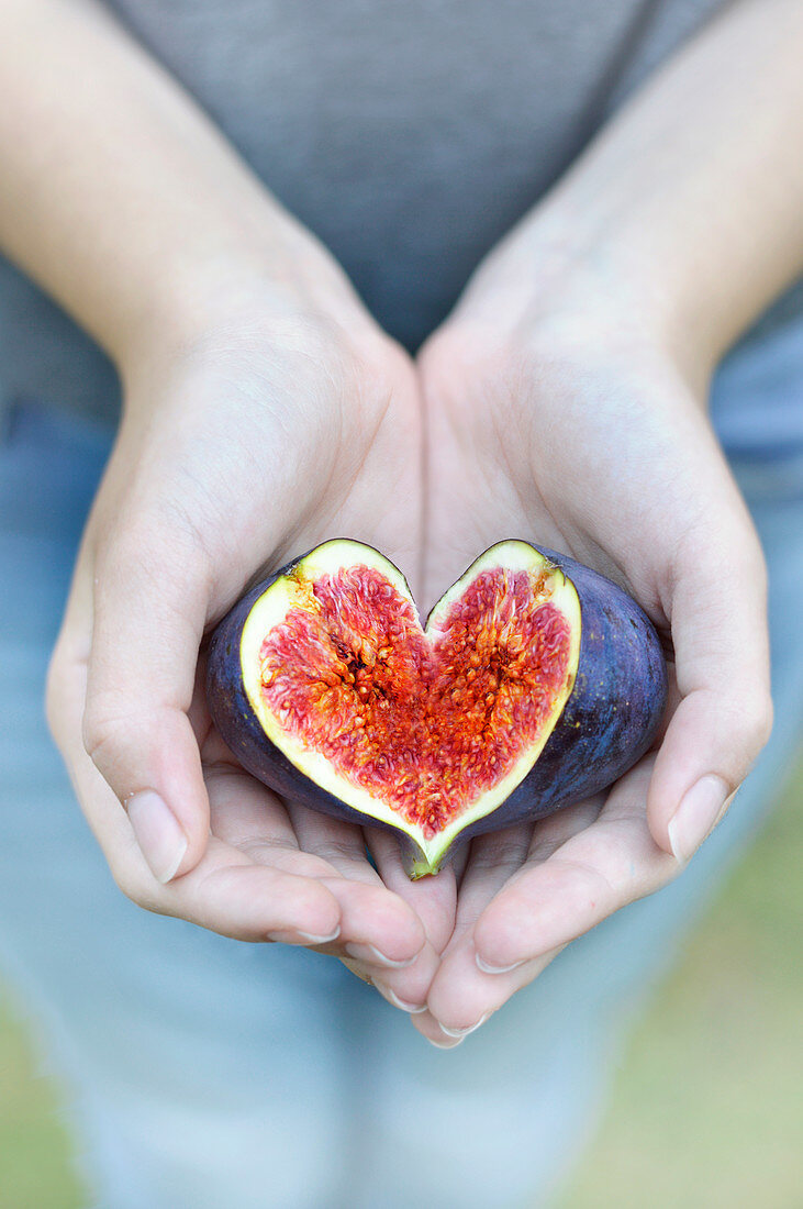 Hands holding a heart-shaped sliced fig