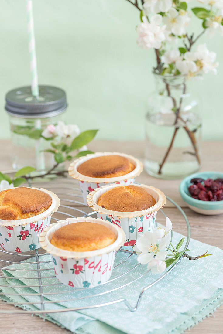 Lemon And Cranberry Muffins