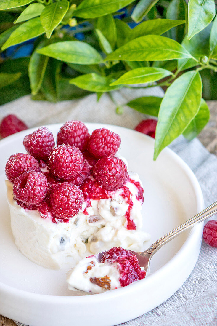 Ice Cream Nougat With Raspberries