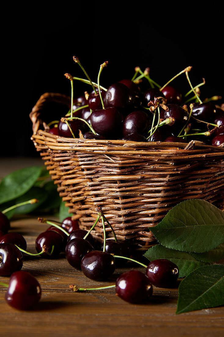 Ripe harvested cherries in rustic basket with leaves on wooden table and on black