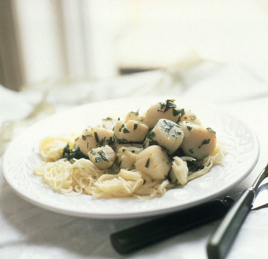 Jakobsmuscheln auf Spaghettini mit Kräutern