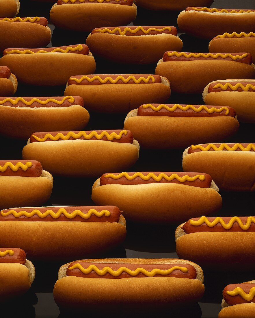 Viele Hot Dogs mit Senf, in Reihen gelegt