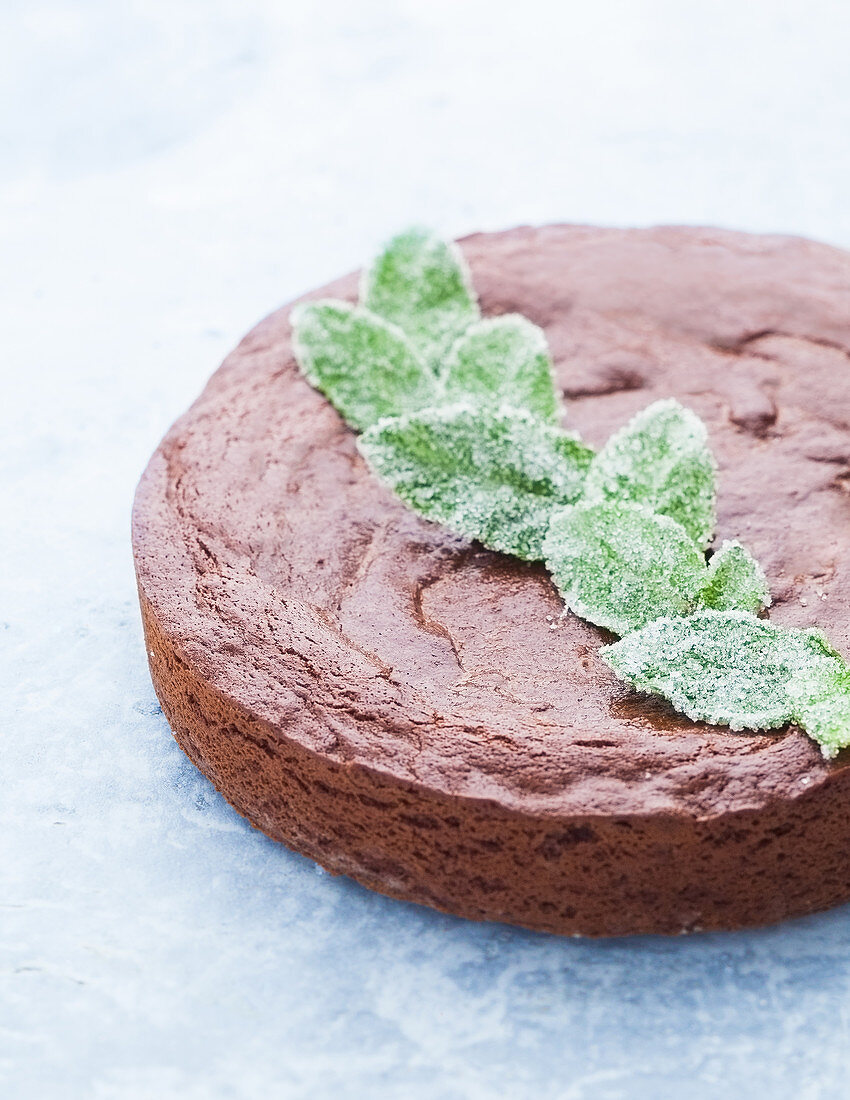 Chocolate cake with dark chocolate and sugared mint leaves