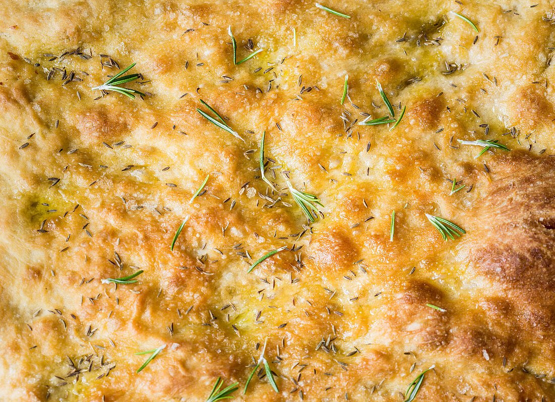 Foccacia (close-up, full picture)