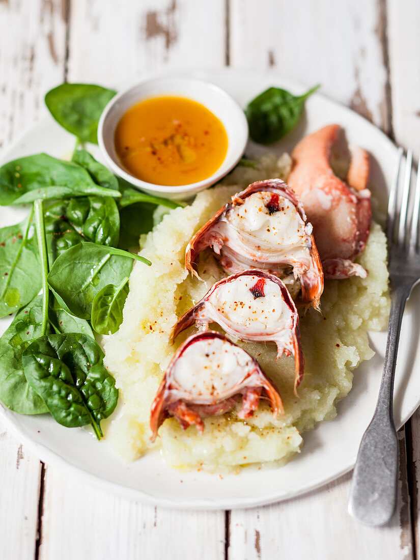 Citrus lobster with mashed potatoes