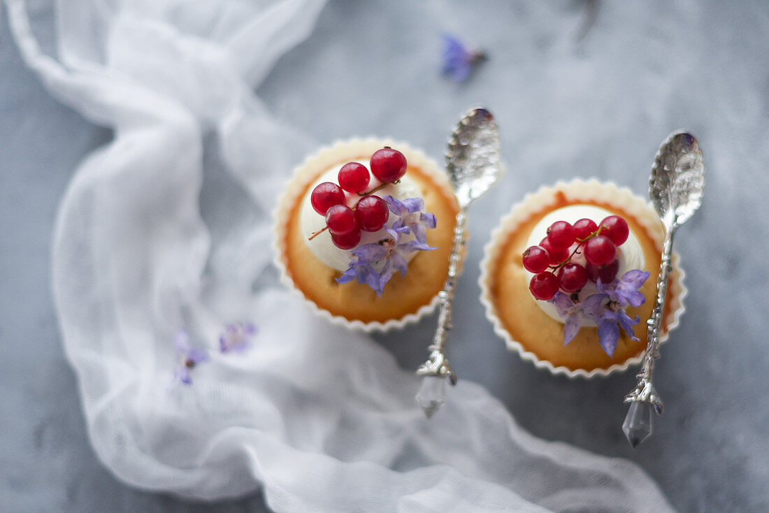 Cupcakes mit roten Johannisbeeren
