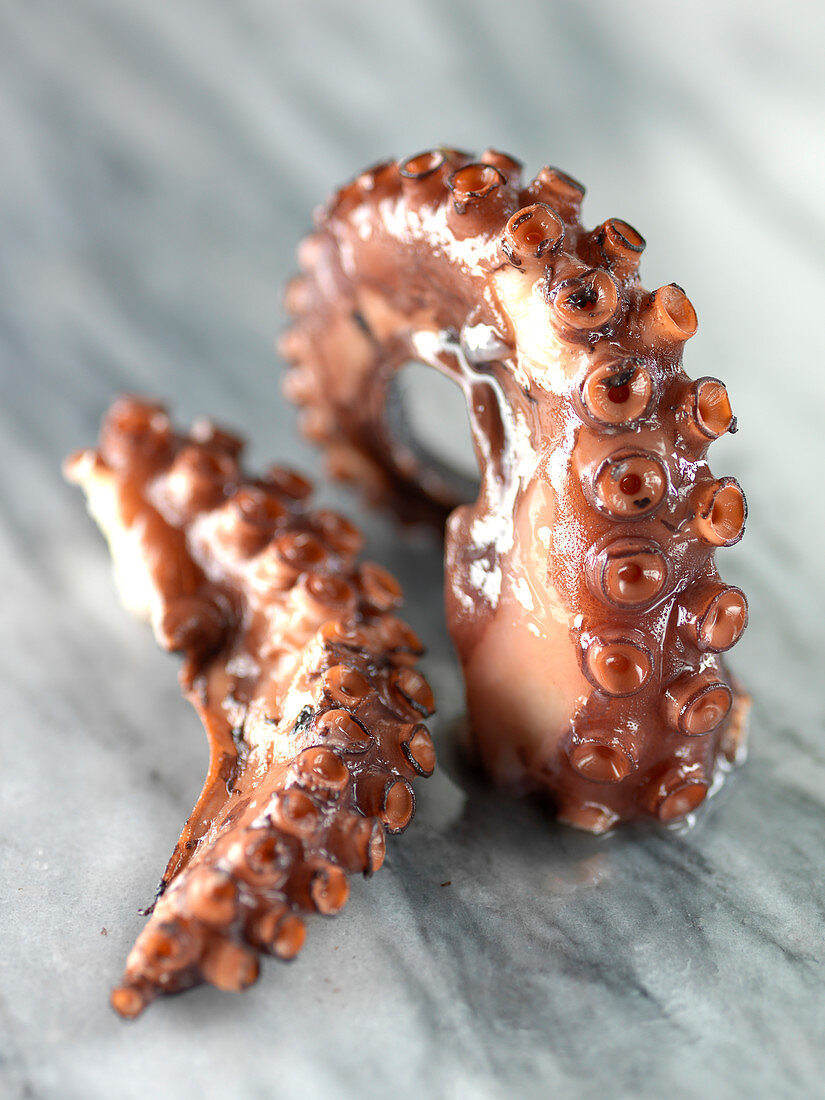 Fresh squid: tentacle pieces