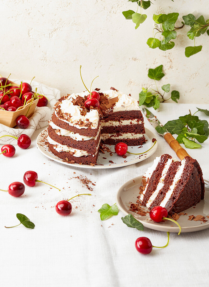 Black Forest cake