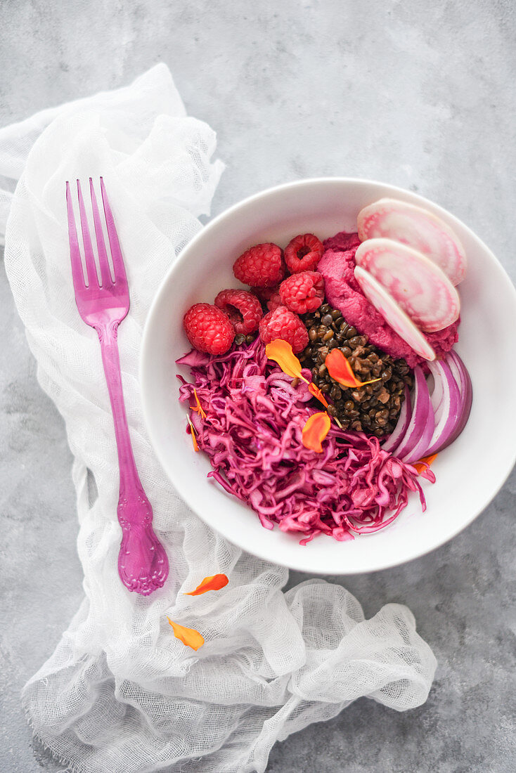 Red salad with lentils, red cabbage, beetroot hummus and raspberries