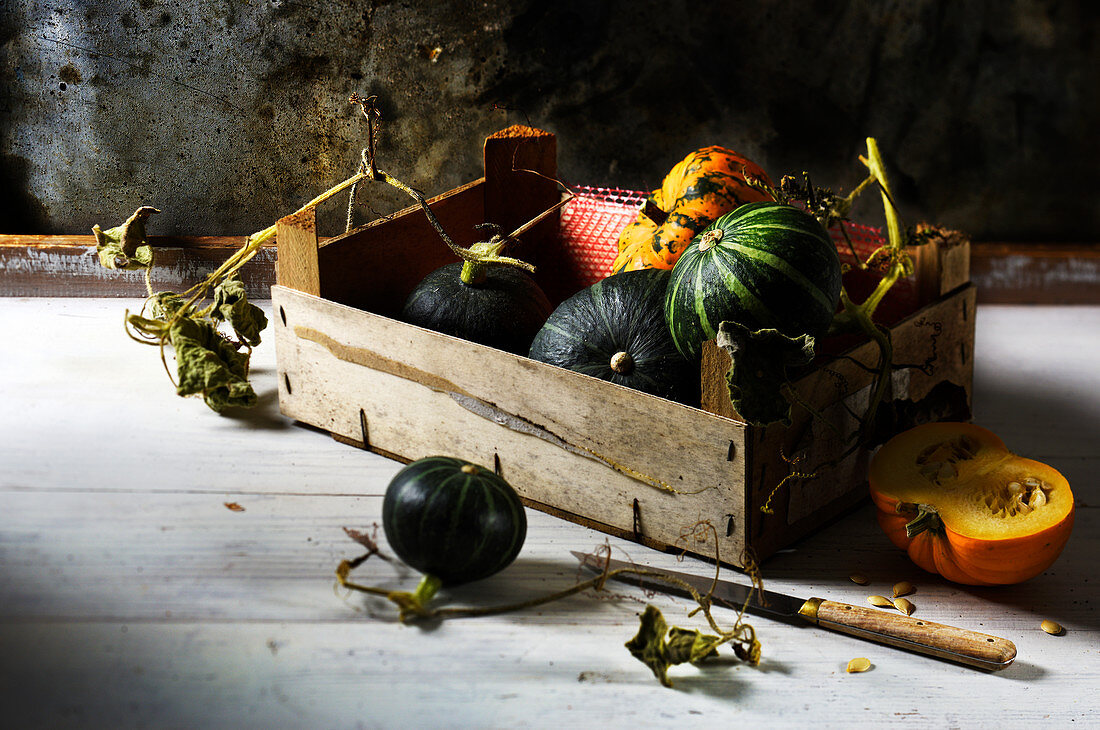 Autumnal still life with various pumpkins