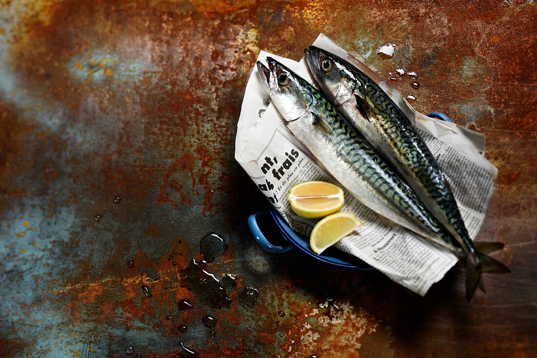 Two fresh mackerels on newspaper