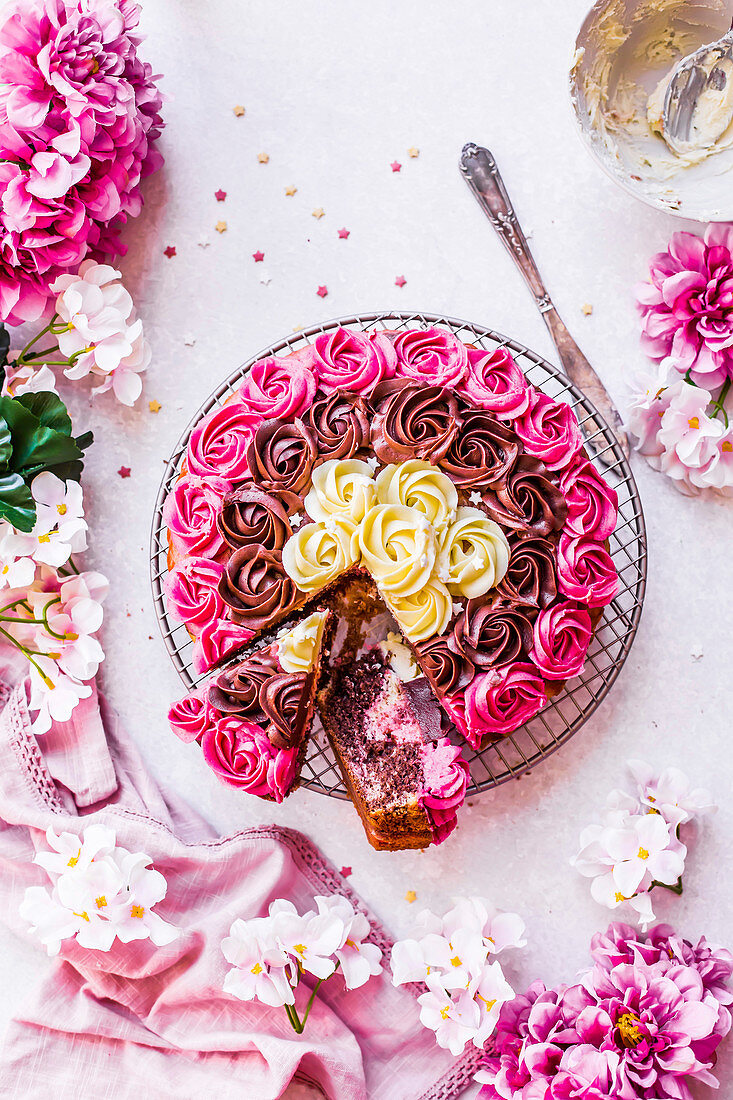 Neapolitanische marmorierte Torte mit Vanille, Schokolade und Erdbeere