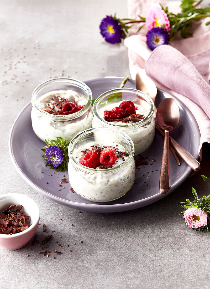 Sojajoghurt mit Schokoladenraspeln und Himbeeren