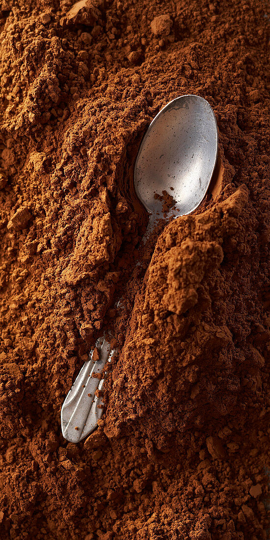 Spoon lying in cocoa powder