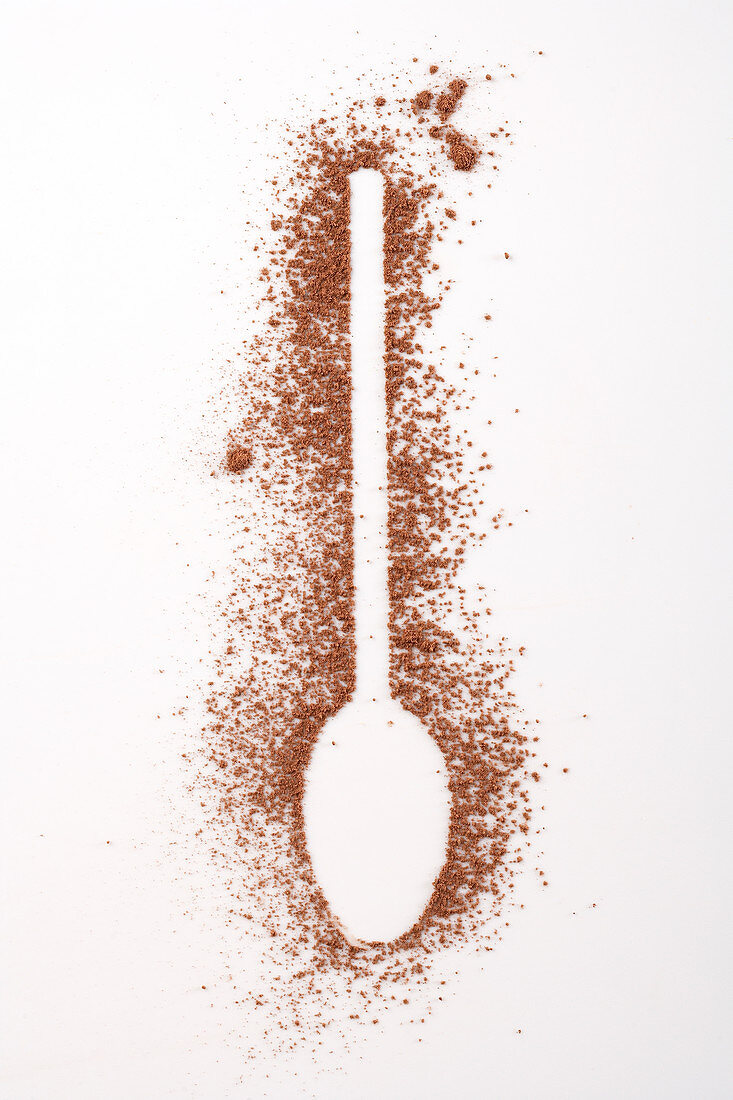 Spoon print made from persimmon powder