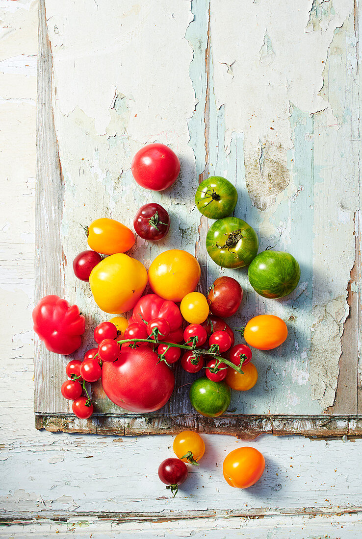 Different types of tomatoes